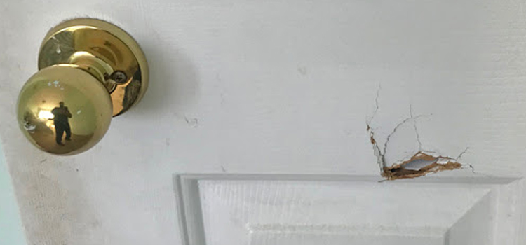 interior door hole repair Lodi