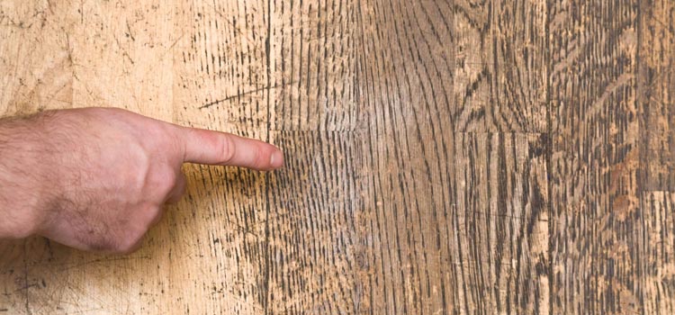 Wood Door Scratch Repair in Lodi